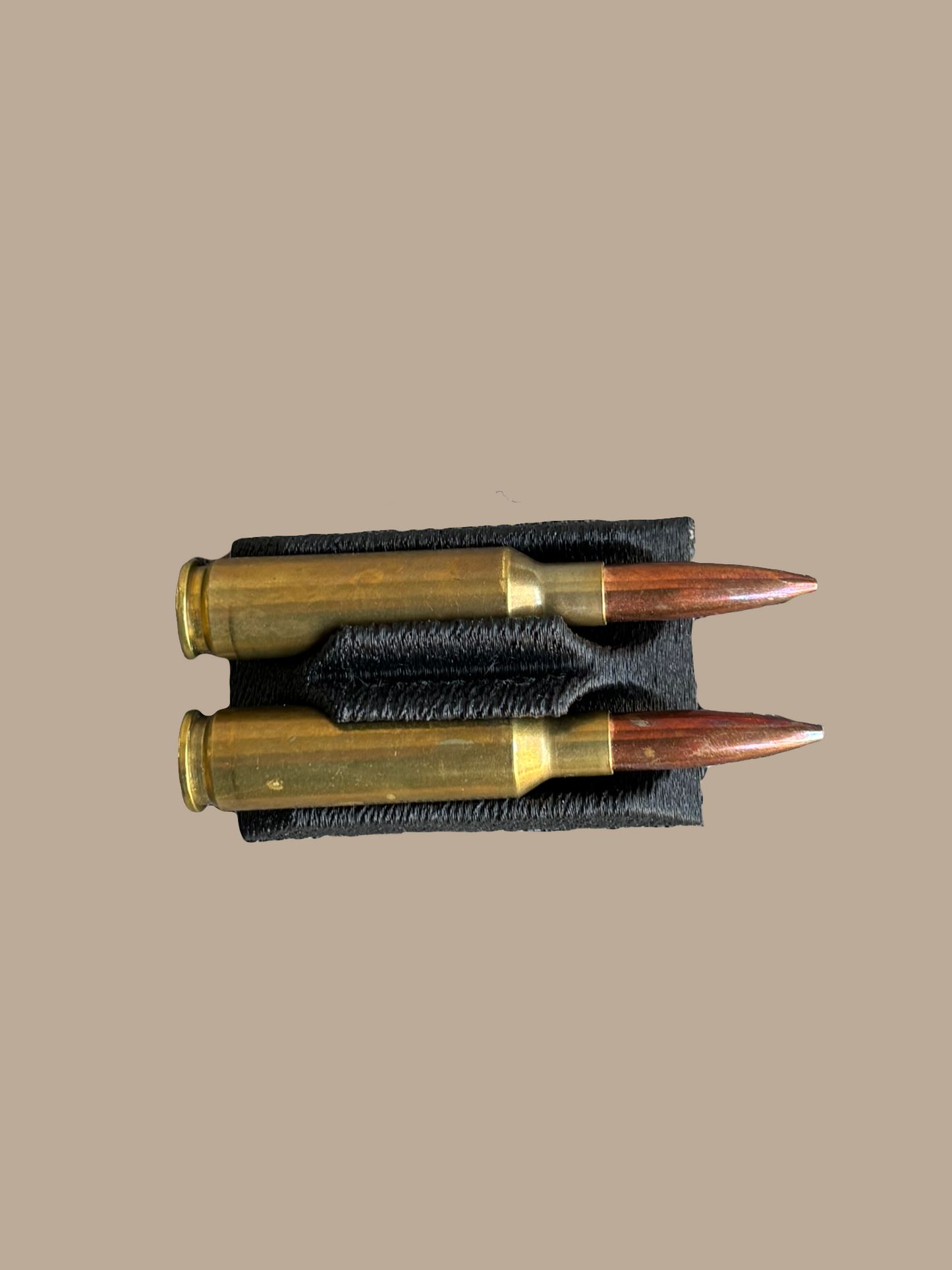 Bullet Nest