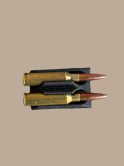 Bullet Nest